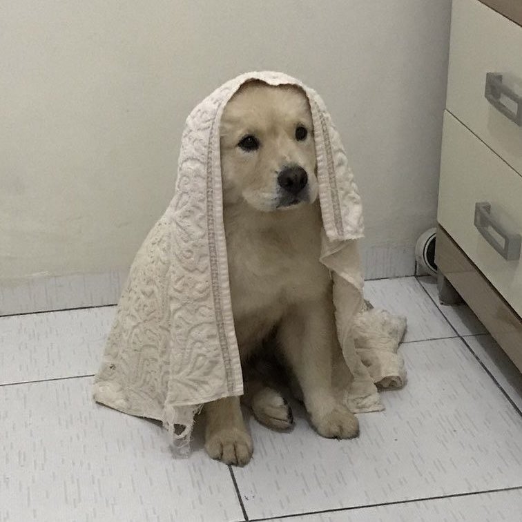 - ̗̀ พนด. 𓇼⋆｡ tweet media