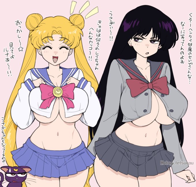 久しぶりに無印セラムン見返したので
このコンビ好きです 