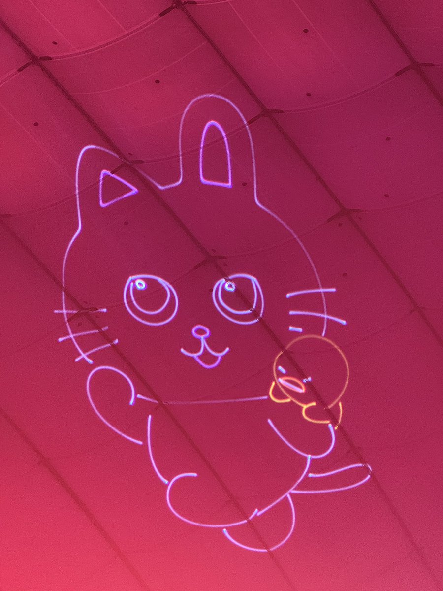 천장에 냥덕잌ㅋㅋㅋㅋㅋㅋㅋㅋㅋㅋㅋㅋㅋ