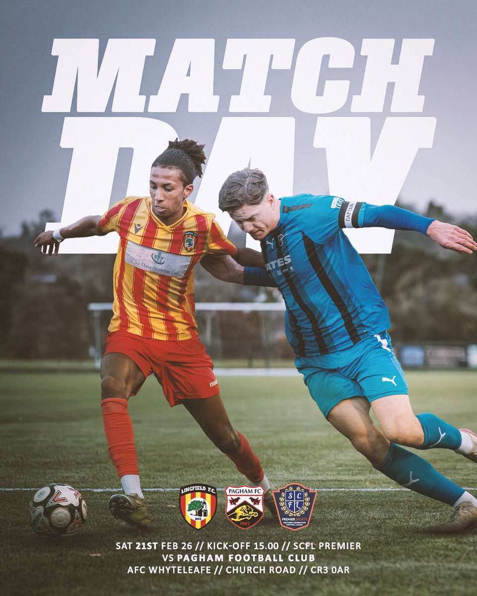 Lingfield FC ⚽️ tweet media