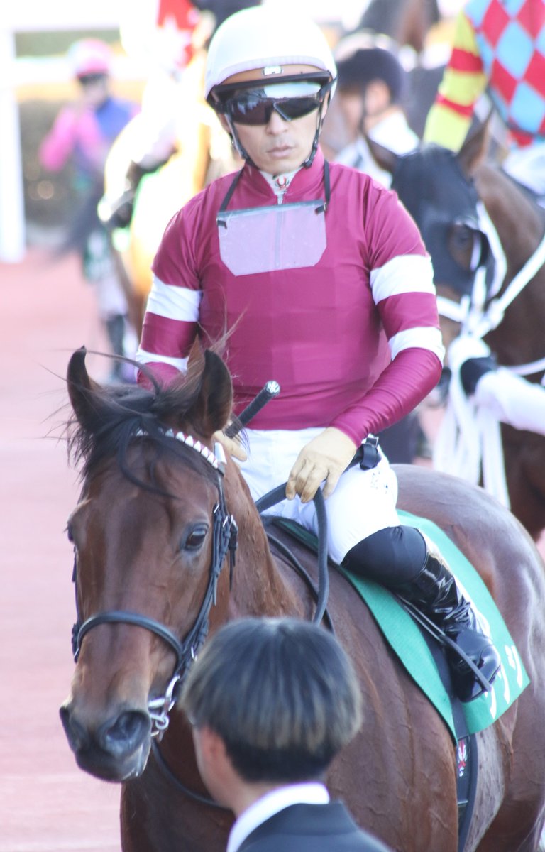 2026/02/21阪神11R第70回阪急杯(GⅢ・芝1400m) 1着①ソンシ 牡5 鹿毛