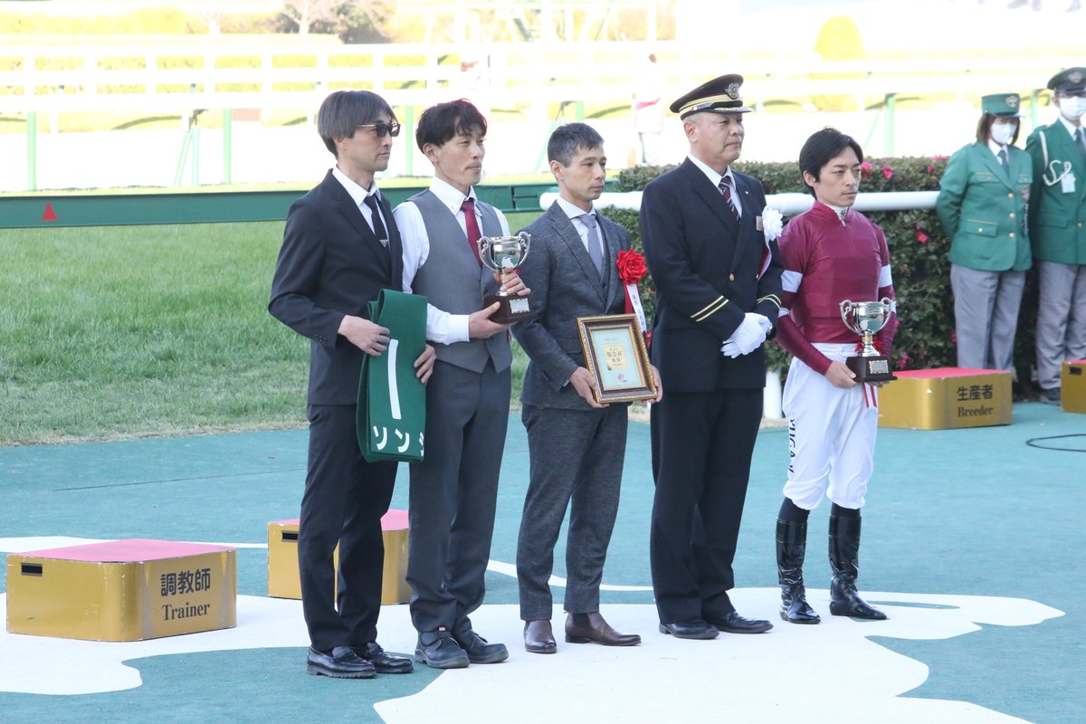 2026/02/21阪神11R第70回阪急杯(GⅢ・芝1400m) 1着①ソンシ 牡5 鹿毛