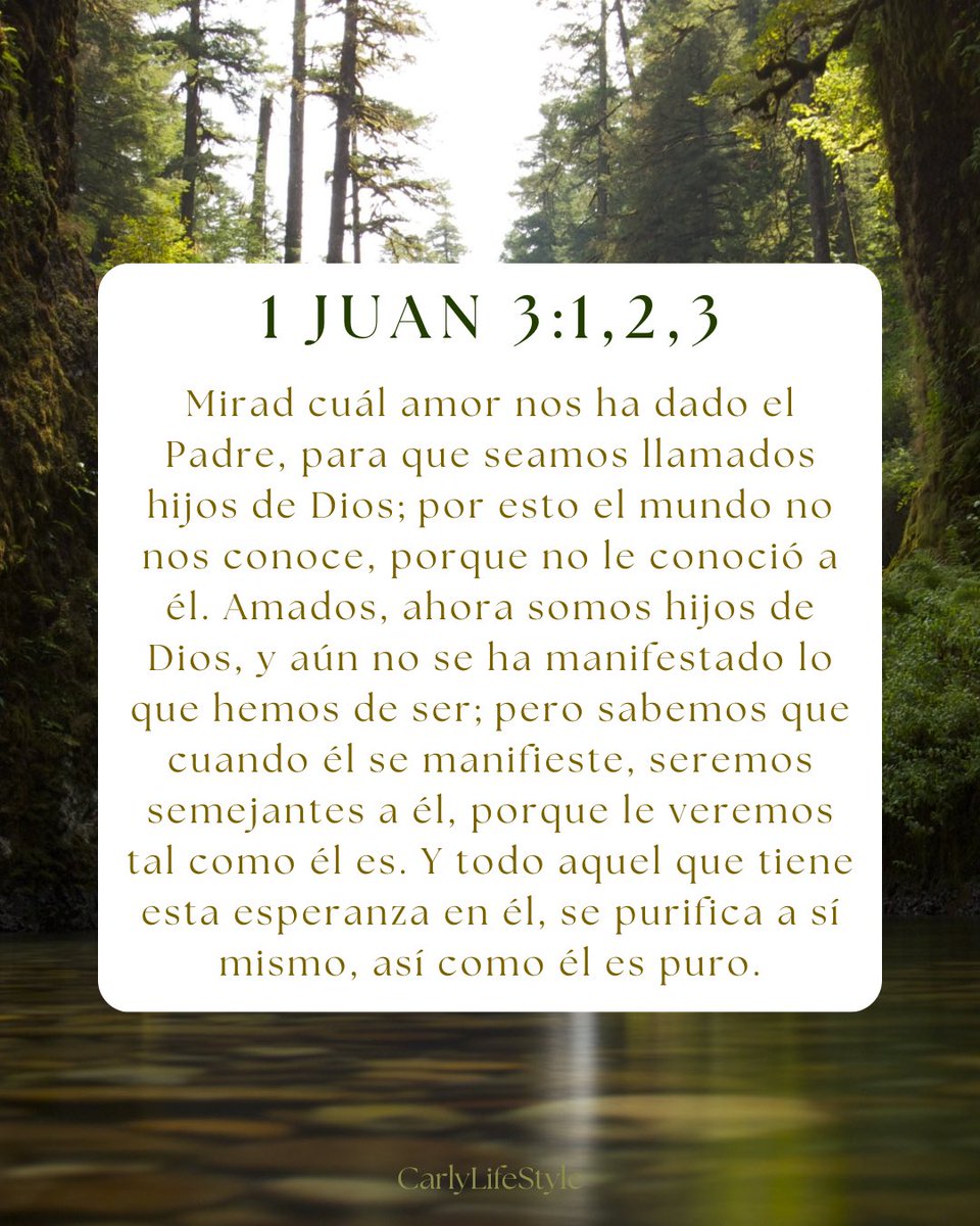 CarlyLifeStyle's tweet photo. #DiosTodopoderoso #fe #semejantes #esperanza #purifica https://t.co/W83OOpIWbs