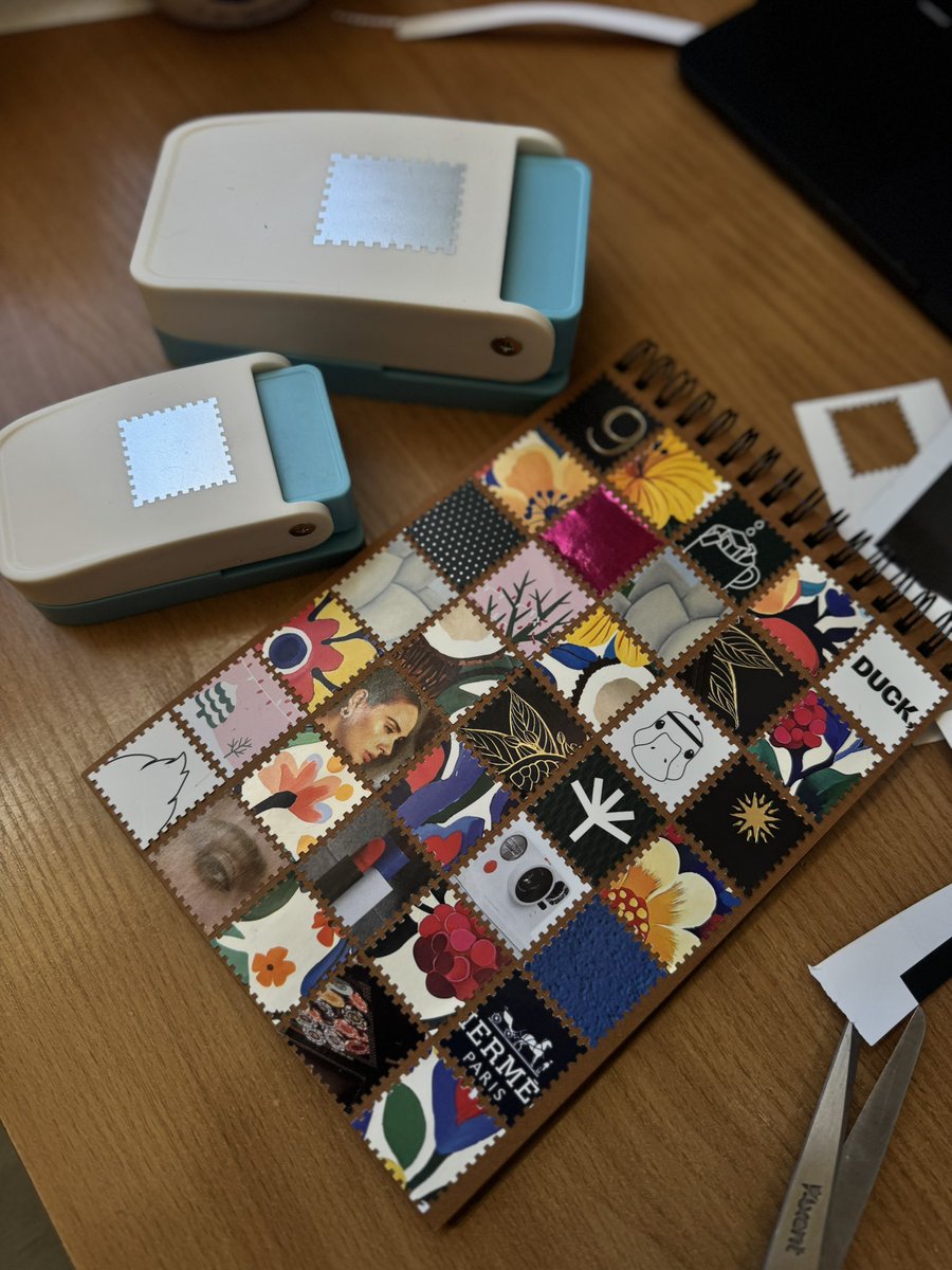 Київська світлярка tweet media