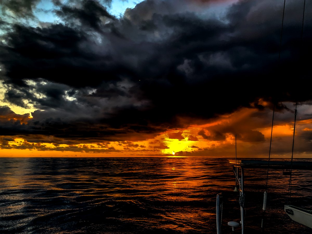 Still Air tweet media