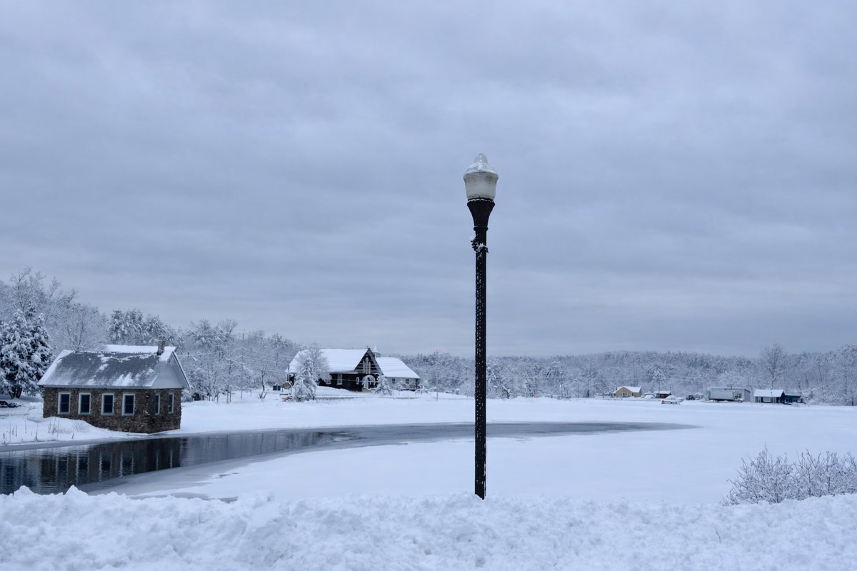 Nice morning for a walk.