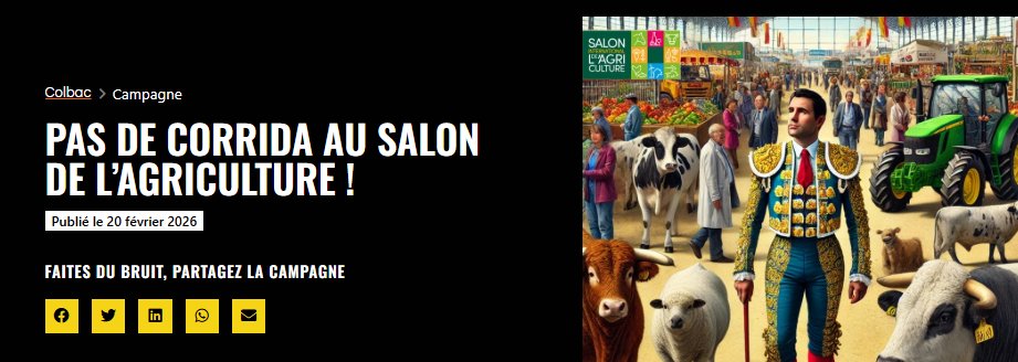 Temple Geinjou tweet media