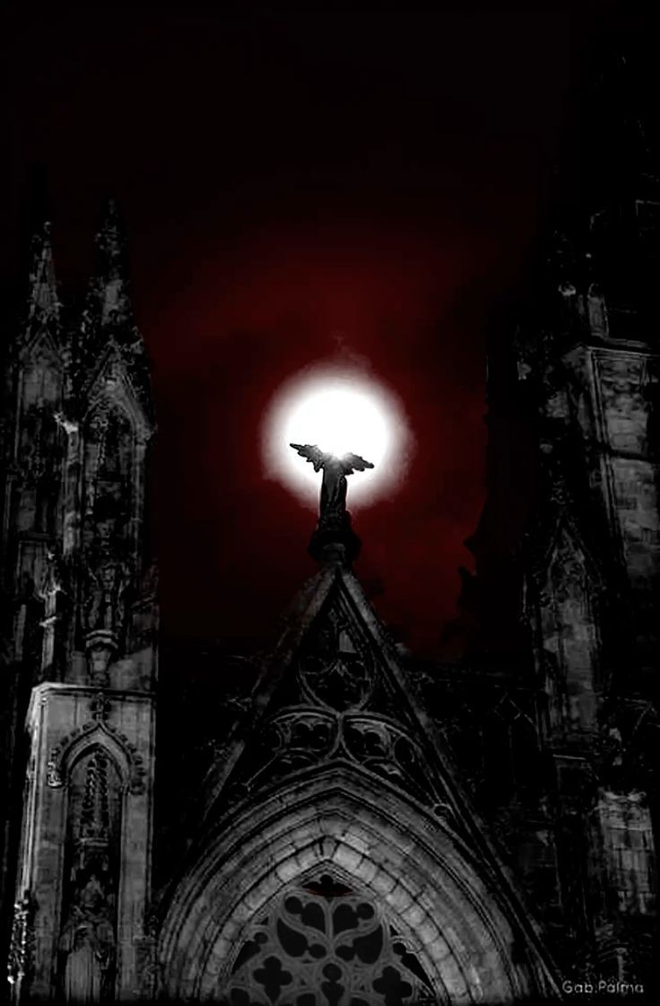 .✞.ℭ𝔢𝔠𝔦𝔩𝔩𝔦𝔬𝔫.✞. tweet media