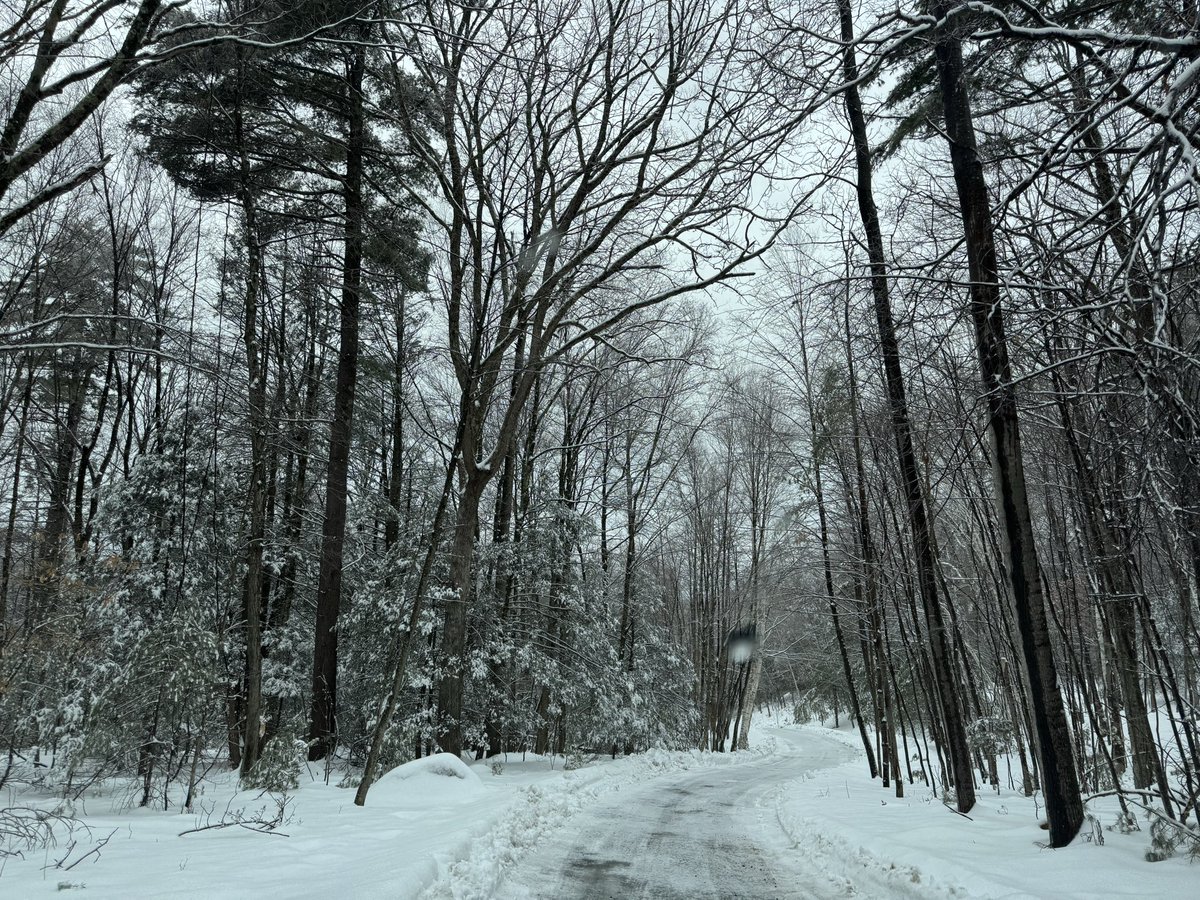 good morning! I’m over the winter but it’s obsessed with me apparently. Can’t believe another 18 inches is coming tomorrow