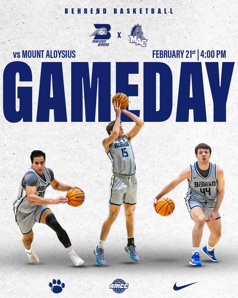 Behrend Basketball tweet media