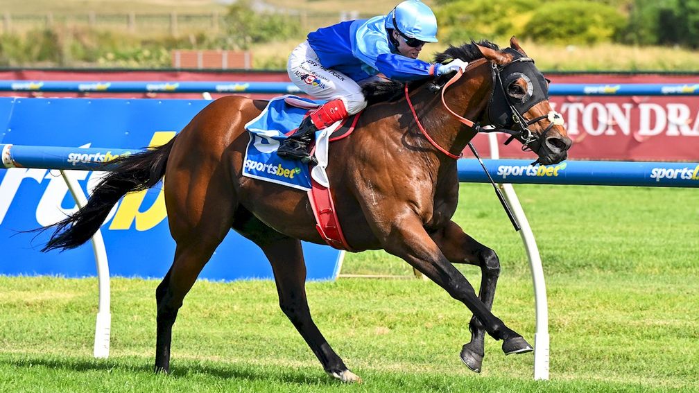 rpbloodstock's tweet photo. 🏆 "We’ve seen him get better this prep and you wouldn’t rule out him going to another level again."

From unwanted yearling to Group 1-winning sprinter: Too Darn Hot's Tropicus headlines brilliant day for Darley stallions in Australasia

Read more here 👉 https://t.co/8iRW1eMyYA https://t.co/Z7TWojCnuH
