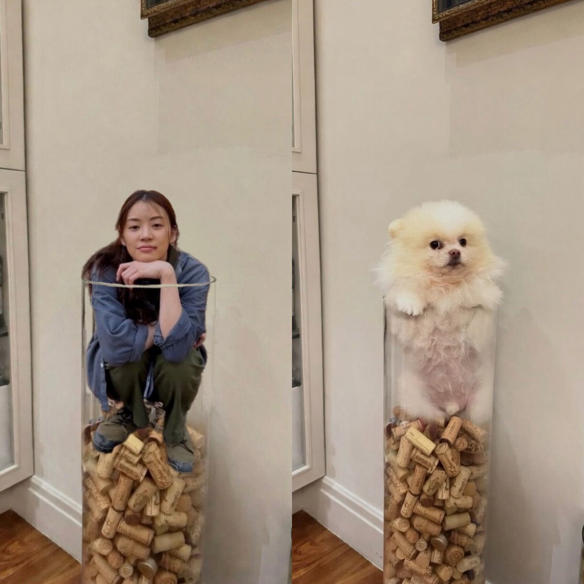 🤣When you end up like your dog

     🧸Miu🤣                      🐶Pady🤣

#LenaMiu #ลีน่าหมิว
#MiuNatsha