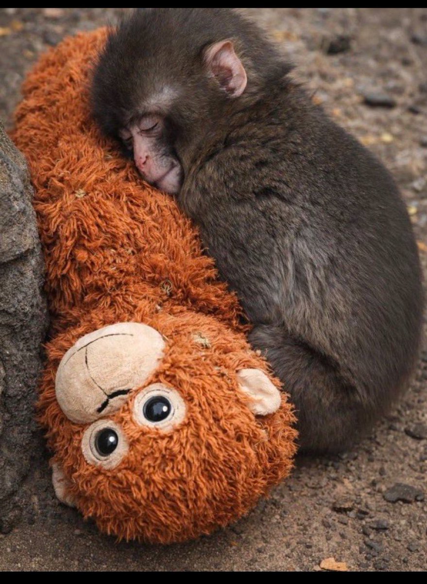 uur_can62's tweet image. Kapitalizm acıları zenginliğe döken bir sistemdir. 
#punc