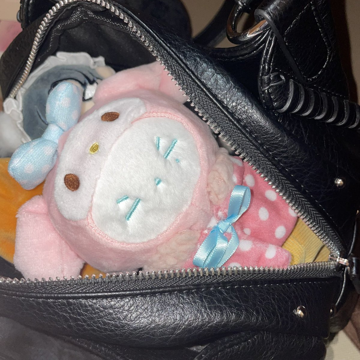 도롱이 tweet media