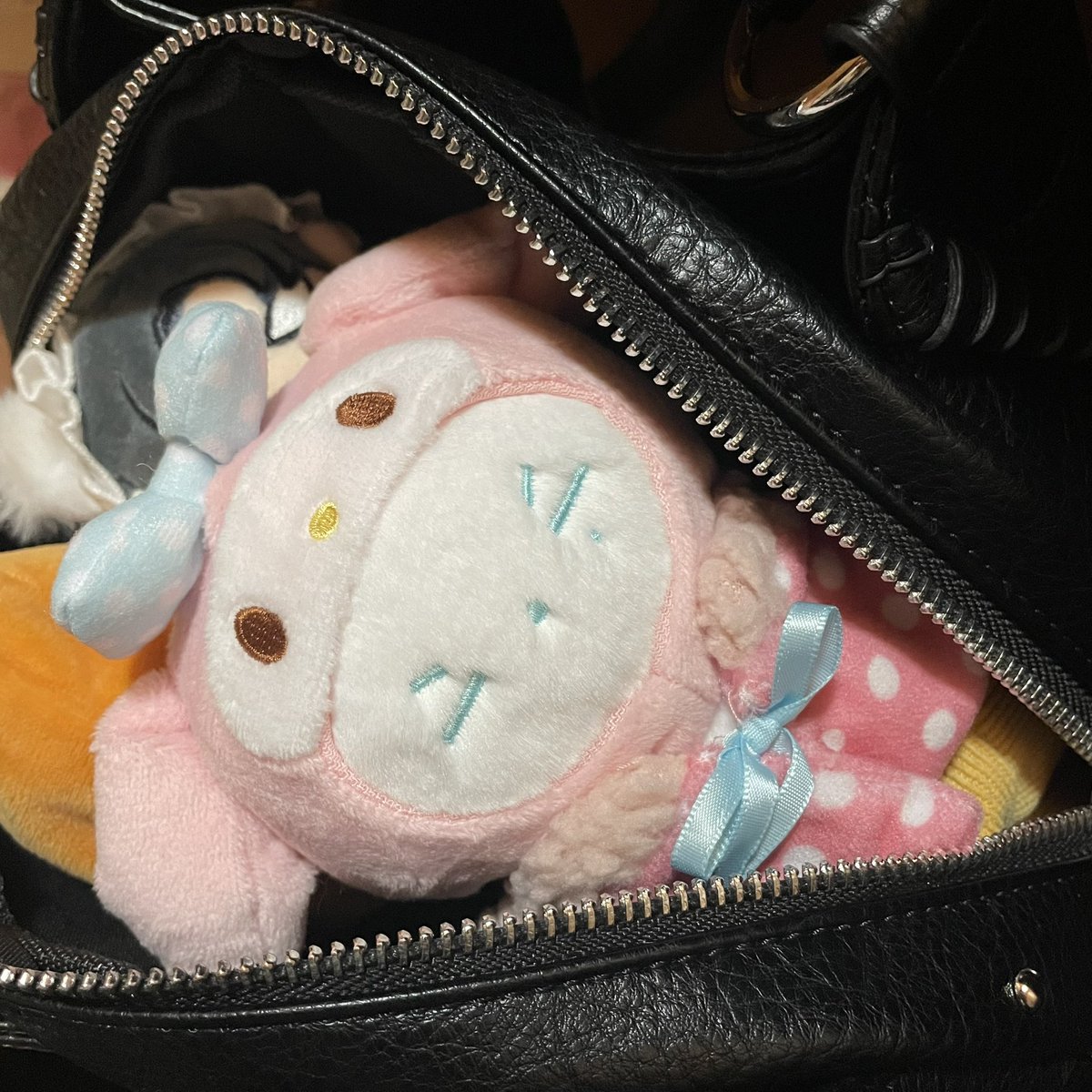 도롱이 tweet media