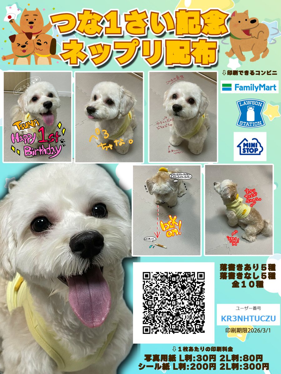 あーるん。@ウラセカ (@chibi_alun1216) / Posts / X