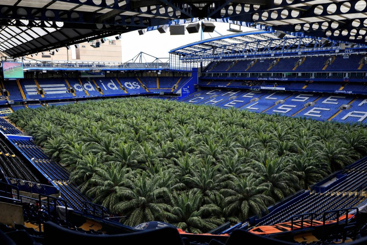 isra_KK_'s tweet image. Stamford Bridge musim depan: