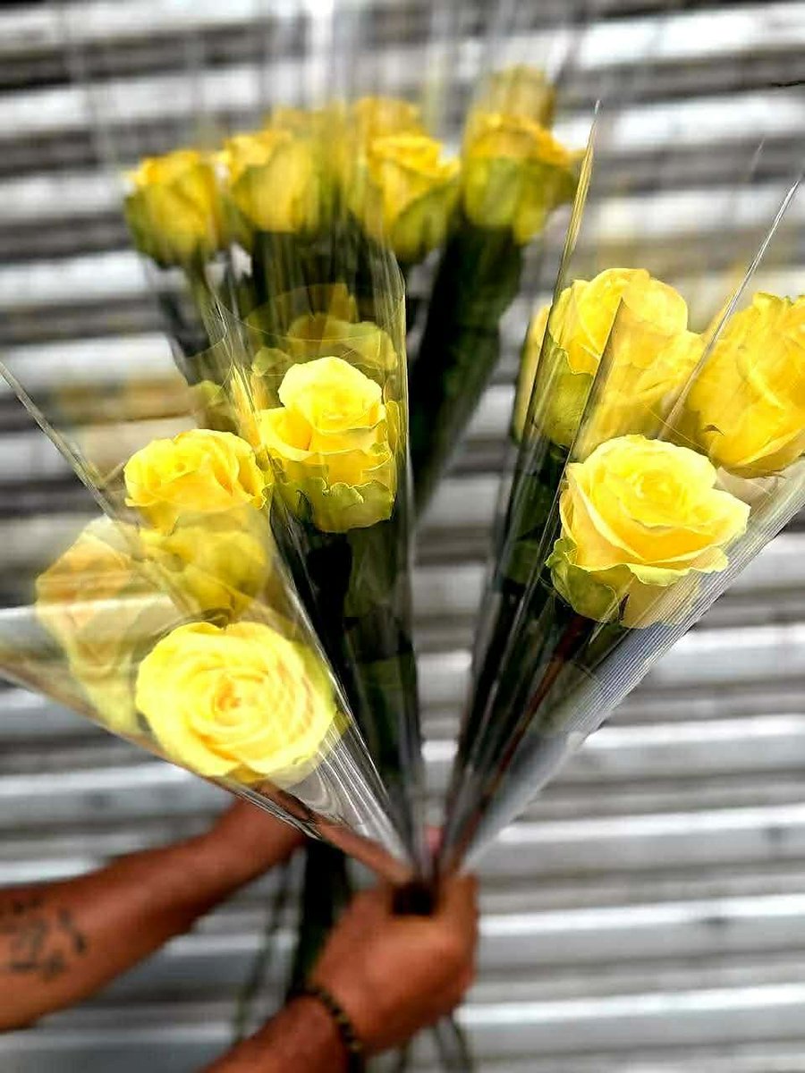 Mahal na mahal kayo ng UST COMMUNITY, GOLDEN TIGRESSES! 💛

 #GoUSTE