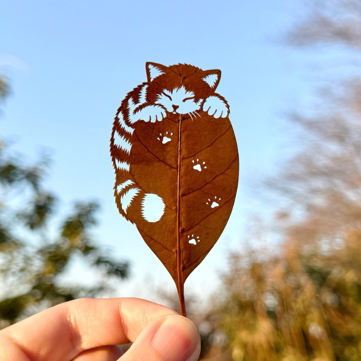 ｢呼んでも来ないのに、気付けば隣にいる君｣

明日2月22日は…
#猫の日