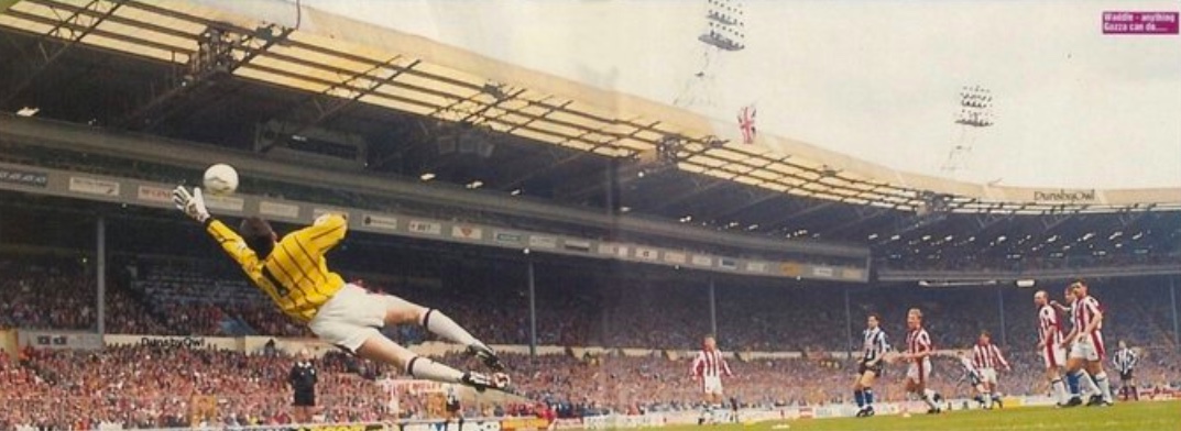 DunsbyOwl tweet media