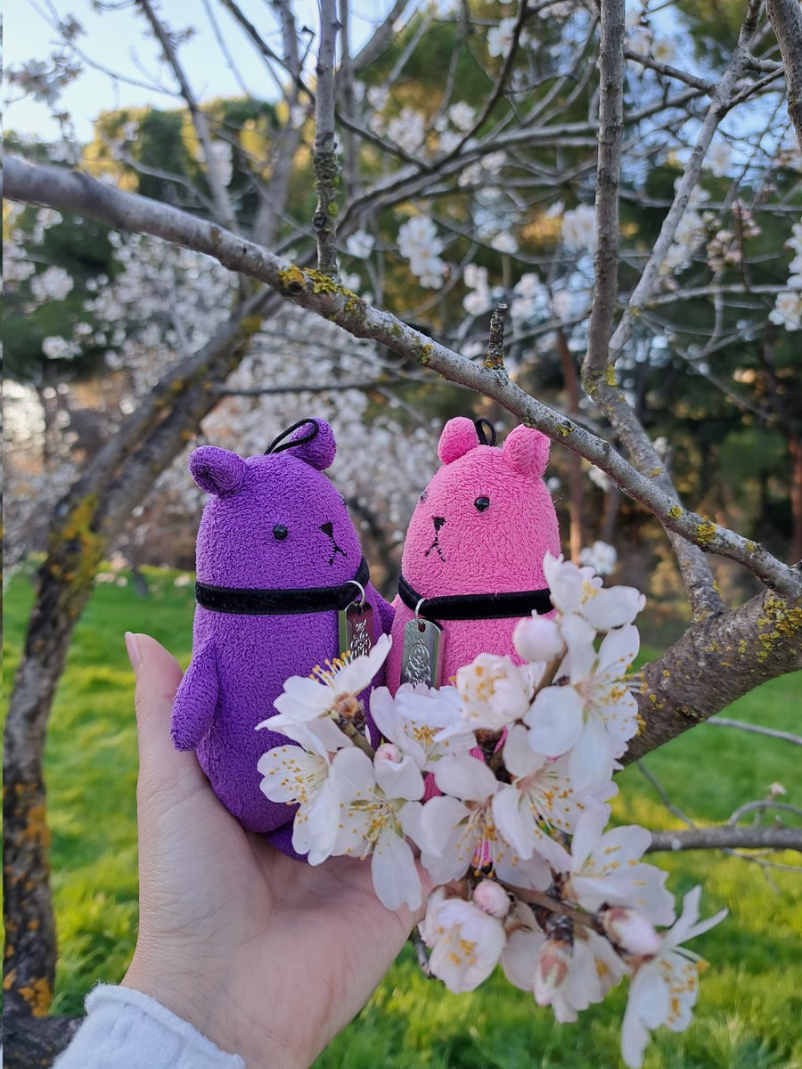 dailyshrk's tweet photo. Spring is coming 🌸 https://t.co/Jjys8HR7uL