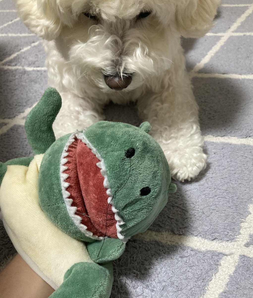 「鼻毛真拳」使い手の恐竜とその元凶