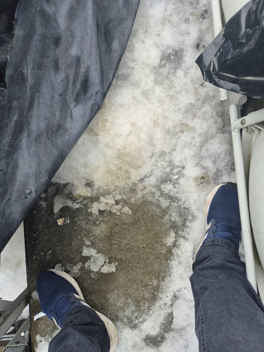 Mads Poulsen tweet media