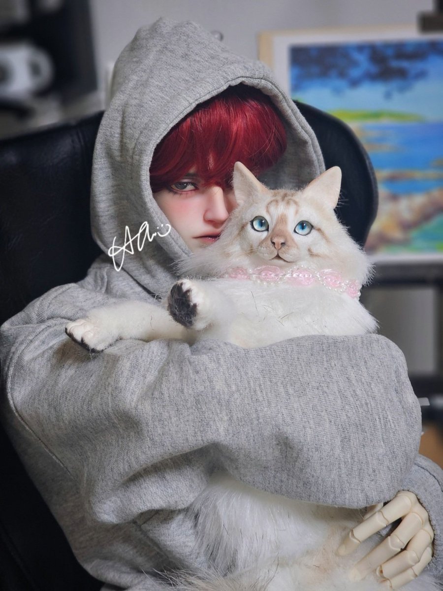 ✨영원한 영님의 시안✨ tweet media