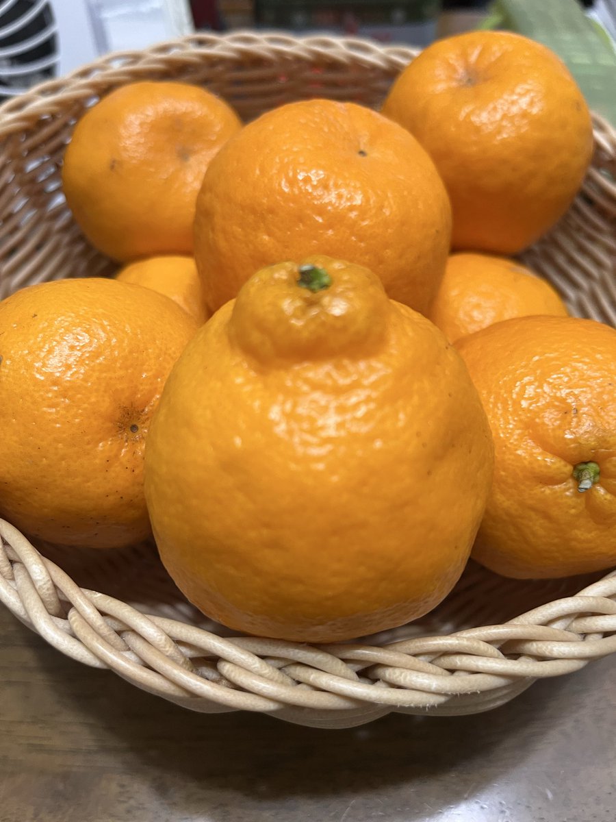 今回はぽんかん🍊