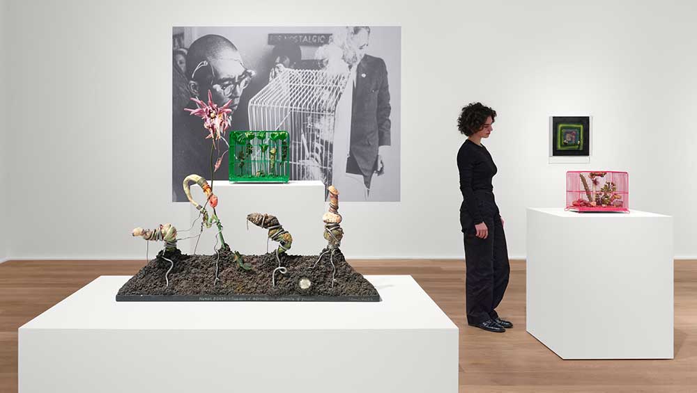 studiolatest's tweet photo. 'A pair of exhibitions by two Japanese innovators show contrasting approaches to the #plasticrevolution of the late 20th century.'
Review of #TakesadaMatsutani: Shifting Boundaries and #TetsumiKudo: Microcosmos @HauserWirth
https://t.co/PnG3vCuynX https://t.co/6WY2ZzPeSs
