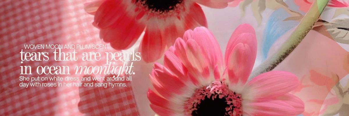 ‘︎ ︎ ︎ ︎ ︎ ︎ ︎ ︎ ︎ ︎ ︎ ︎𝓢earsha * ︎ ︎ ︎ tweet media