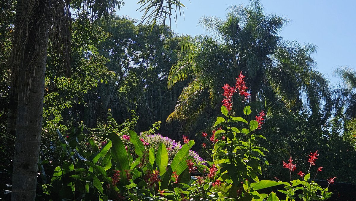 Relax Nature Beauty tweet media