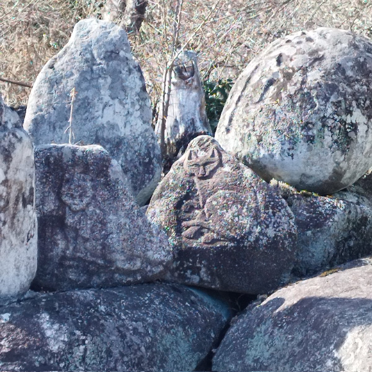 福田雅朗（マルマメ堂） (@marumame_dou) / Posts / X