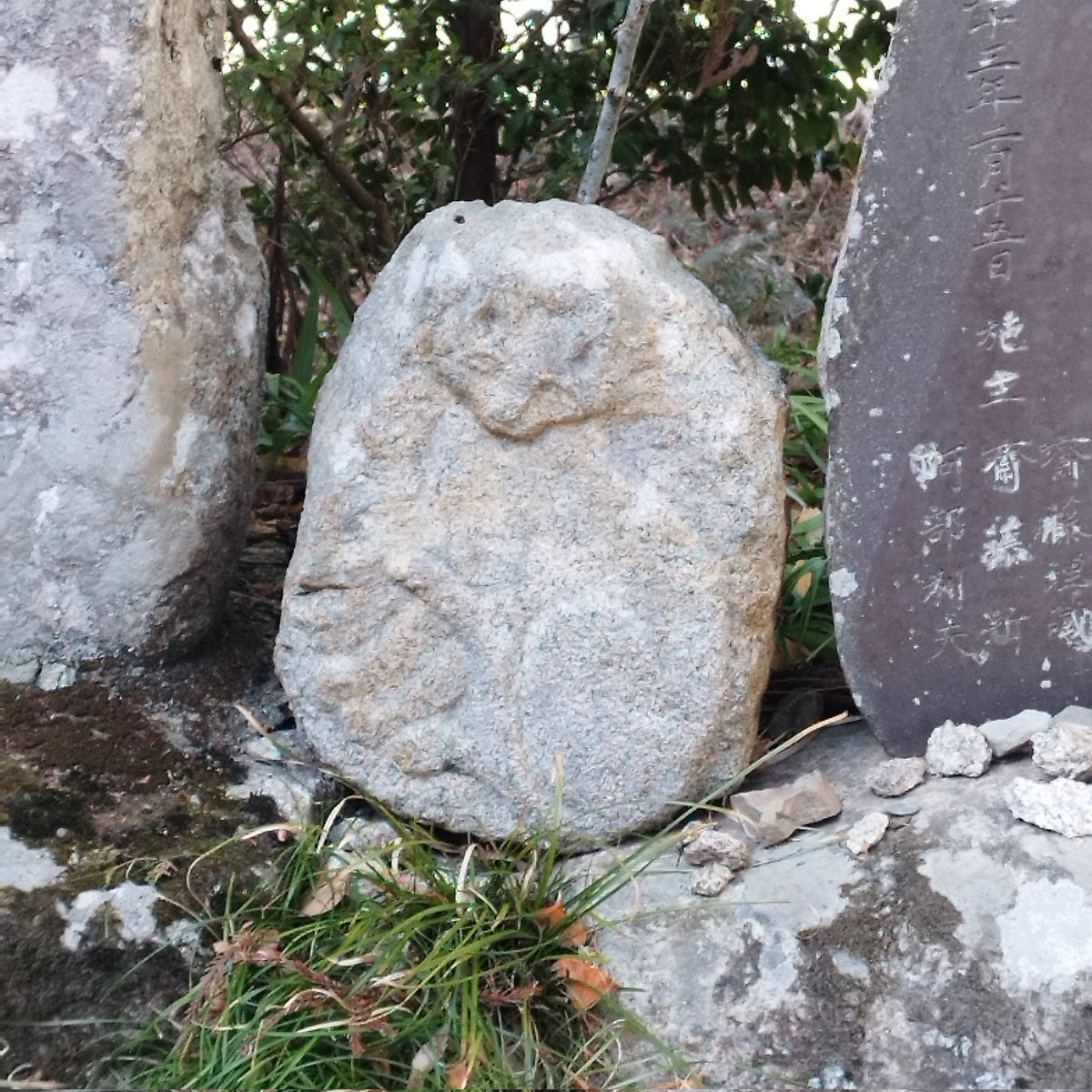 福田雅朗（マルマメ堂） (@marumame_dou) / Posts / X