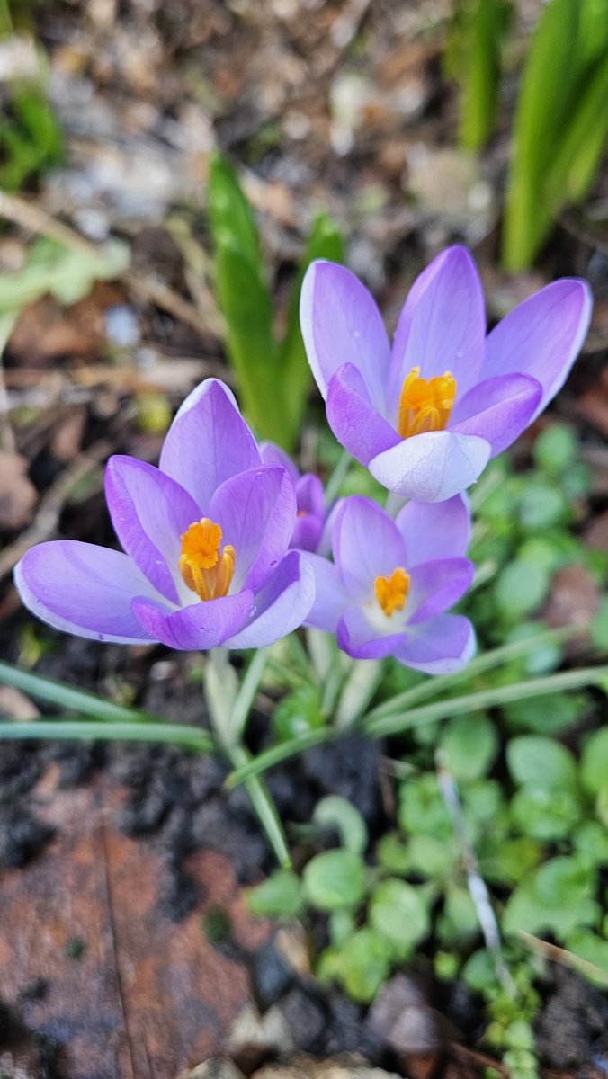 Anita💚✨️ tweet media