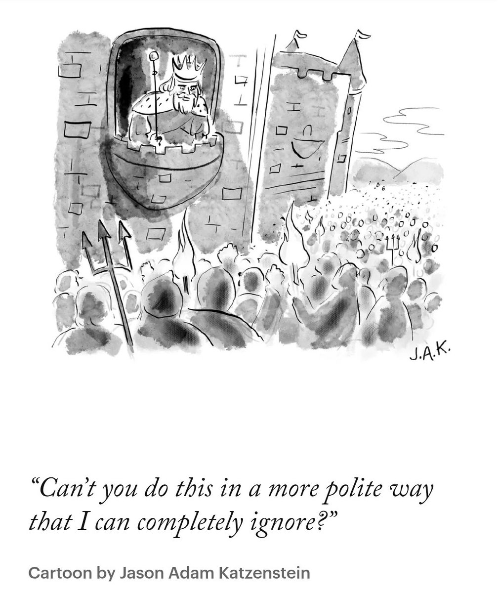 nadircazi's tweet image. 