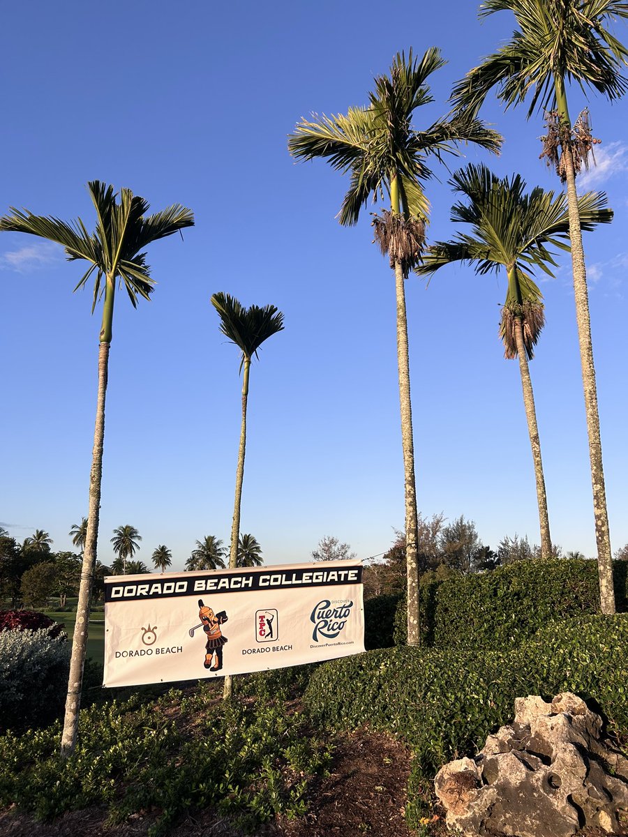 Neal Grusczynski tweet media