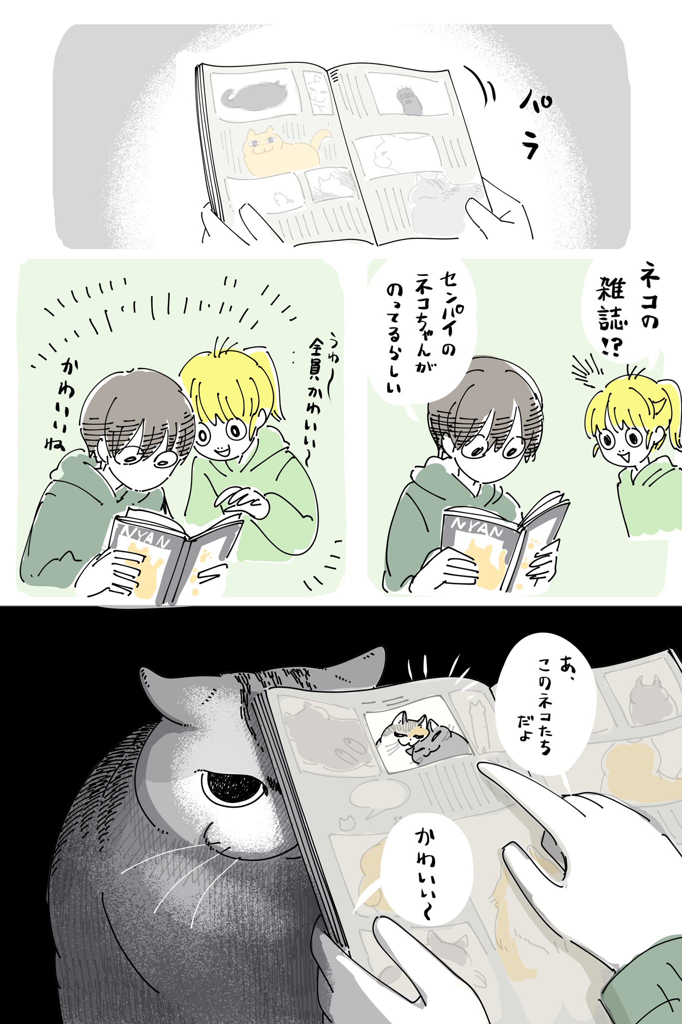 HBrdp3sbYAAN7oE.jpg:large