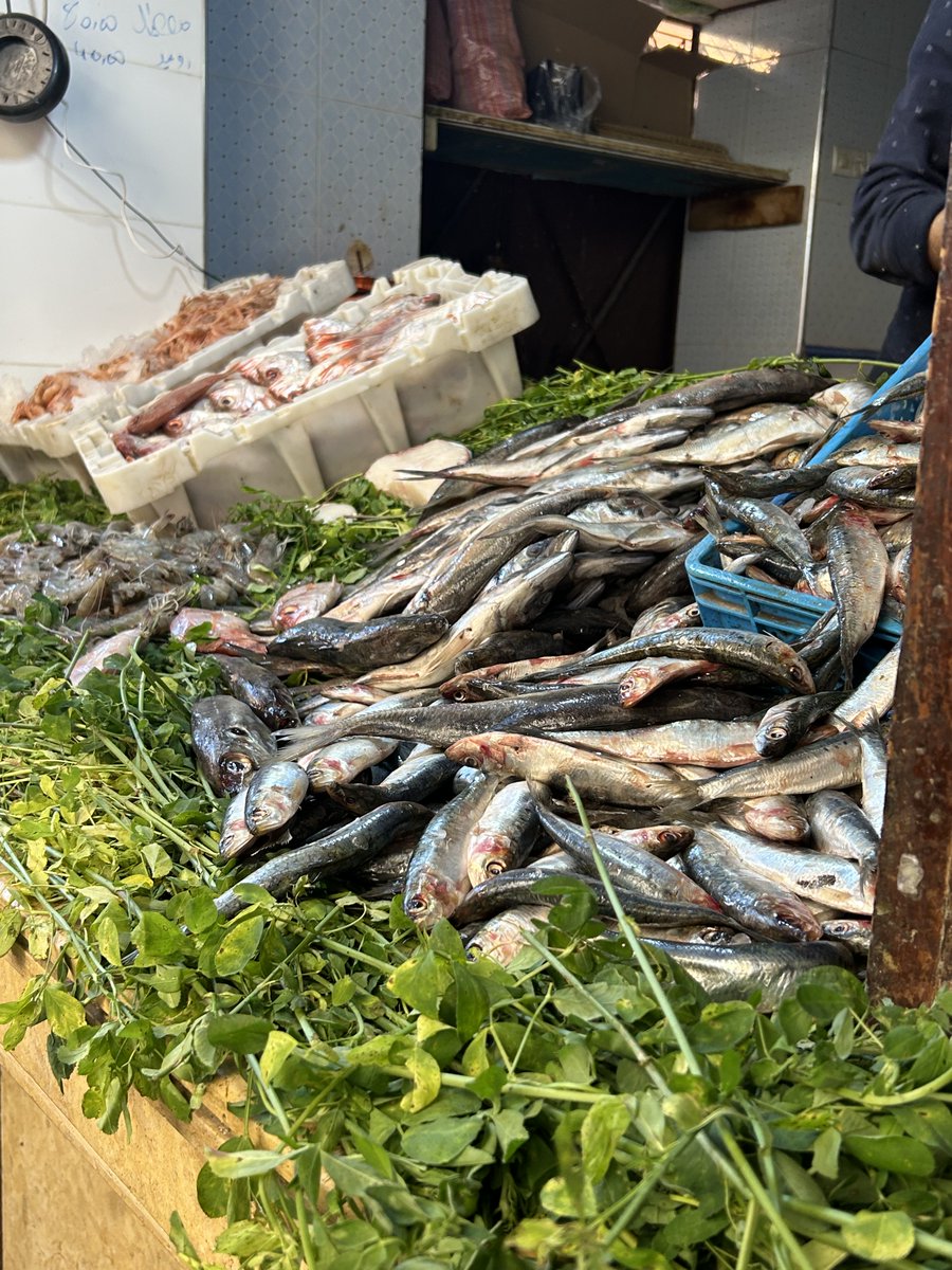 Bryan Webb tweet media