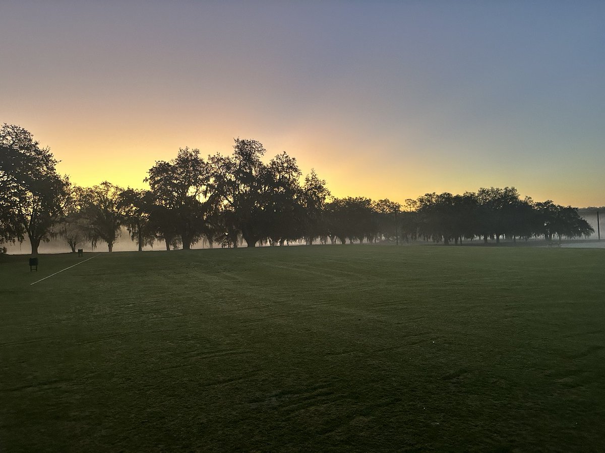 Steve Bradley tweet media