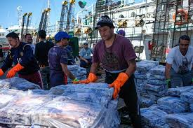 rogarrone's tweet photo. Crecieron 52,5% en divisas las exportaciones pesqueras argentinas en el primer mes del 2026
Se comercializaron 41 mil toneladas que generaron 180 millones de dólares
Las ventas de calamar alcanzaron 33 millones de dólares, 350% más que enero 2025
Datos de #CaPeCa https://t.co/dbsVjQHEXM