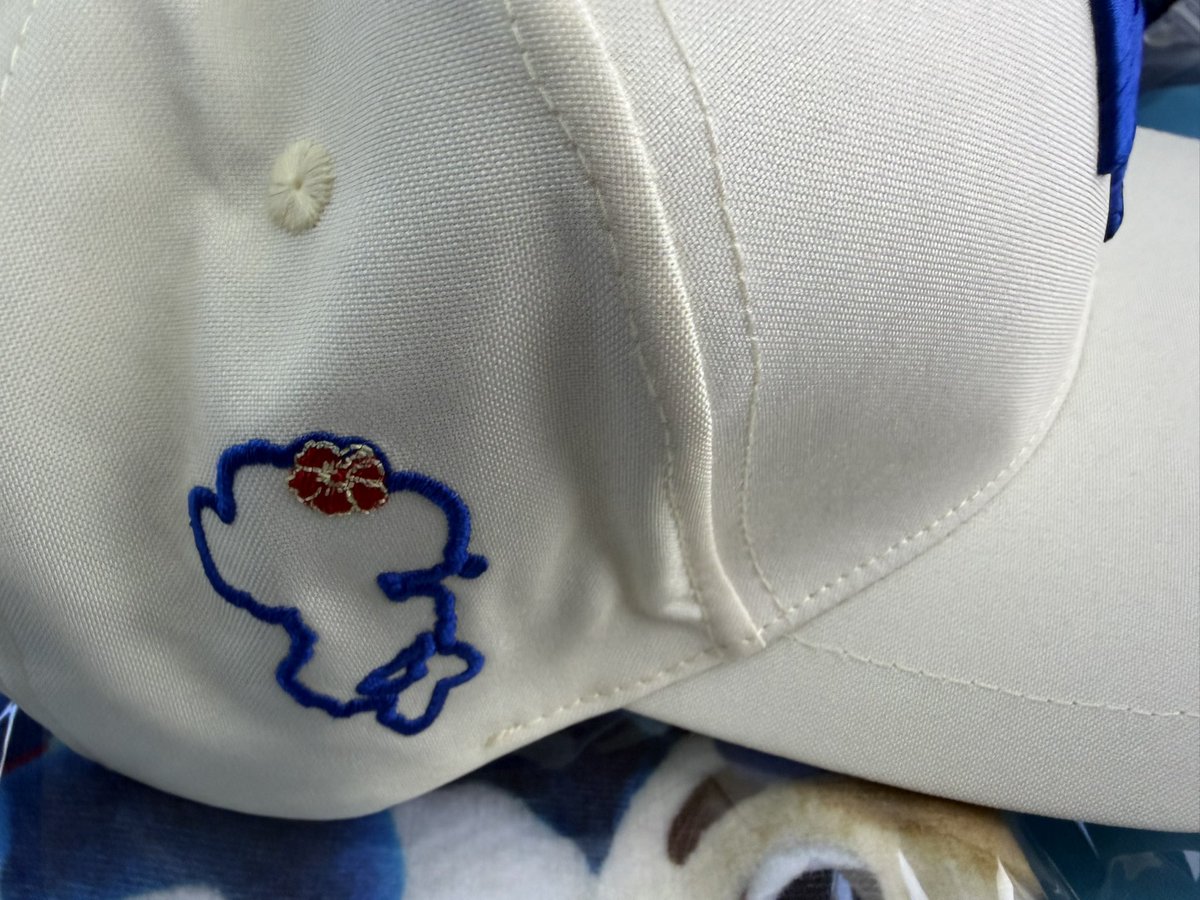 今年のツアーキャップいい🧢 横にドアラのシルエットあり🐨 後ろには