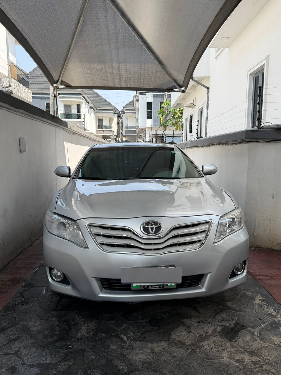 Timmy | Evolution tweet media