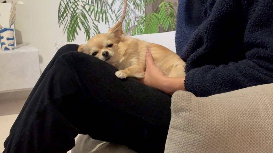 降ろそうとすると重くなる