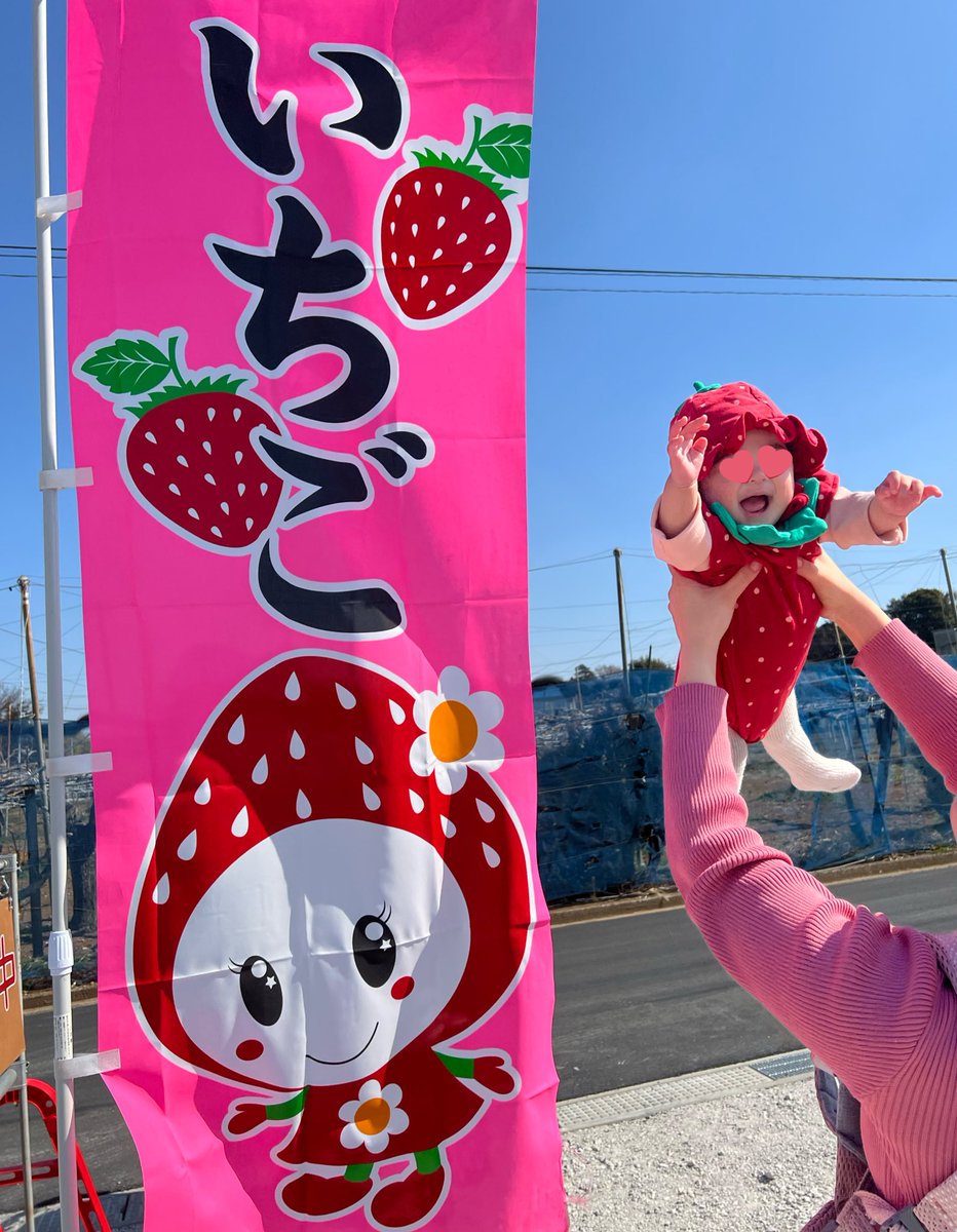 イチゴの妖精といちご狩り行ってきた🍓