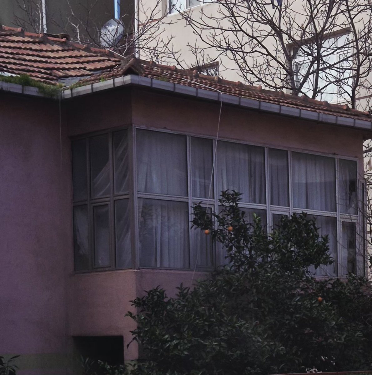 Sokakta gezerken evlerin önünde portakal, limon ağacı görmek beni çok mutlu ediyor. Akdenizlilik.