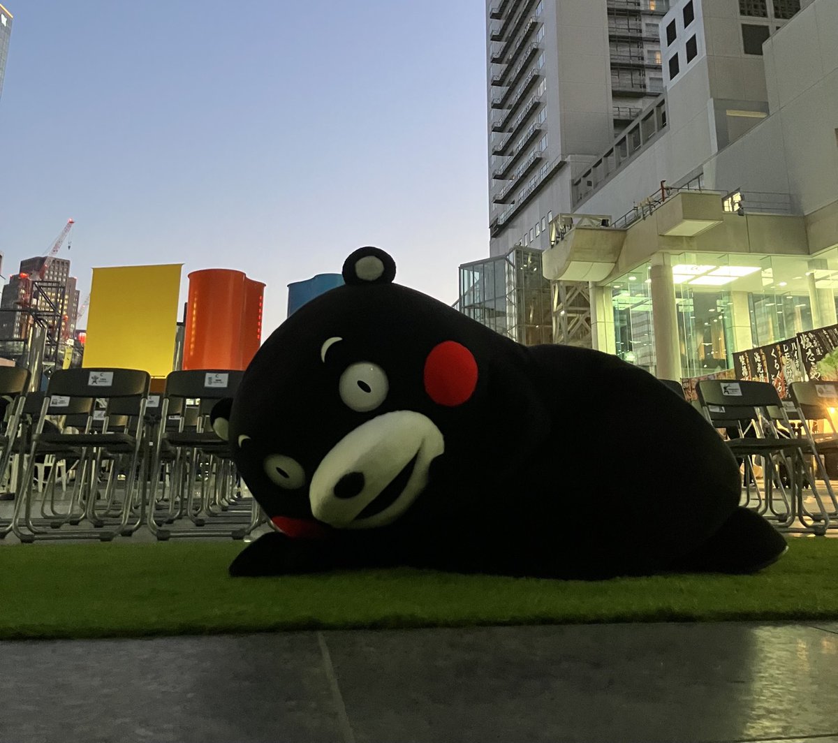 三連休🌟、どのみなさまも愉しんだ😊かモ〜ン！？🐻✨🥰 おや〜くま