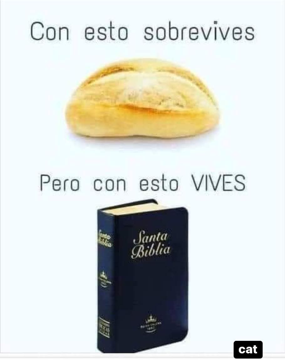 Carlos Arrioja Torres tweet media