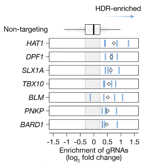 Neville Sanjana tweet media