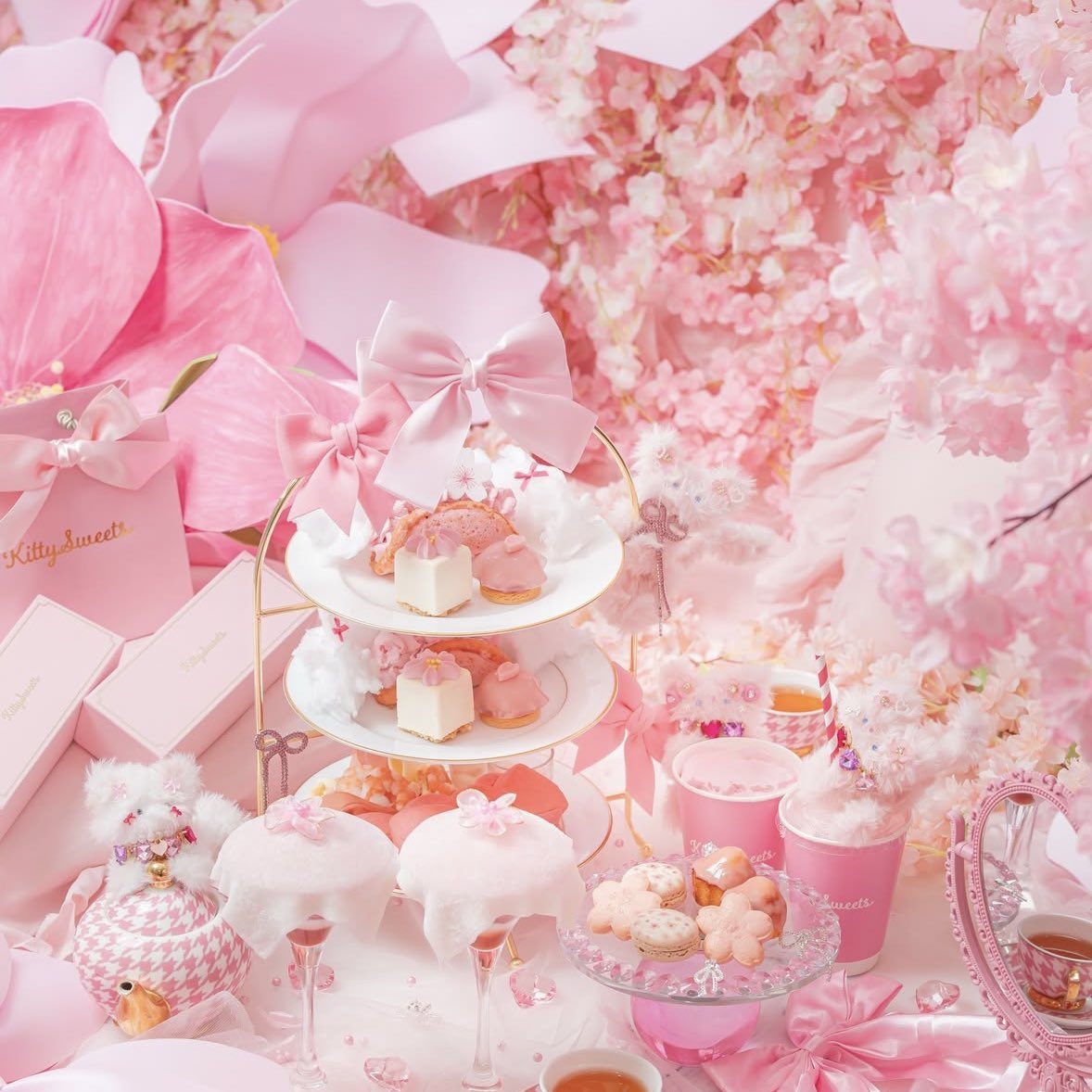 🎀 tweet media